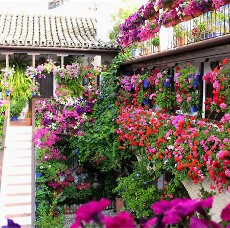 Apartment Monteras Centro Cordoba