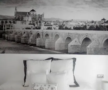 Monteras Centro Apartment Cordoba